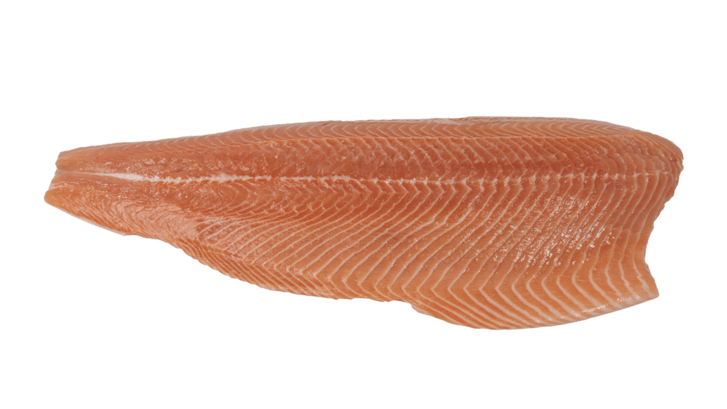 Salmon2